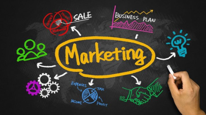 Marketing dài hạn và phát triển